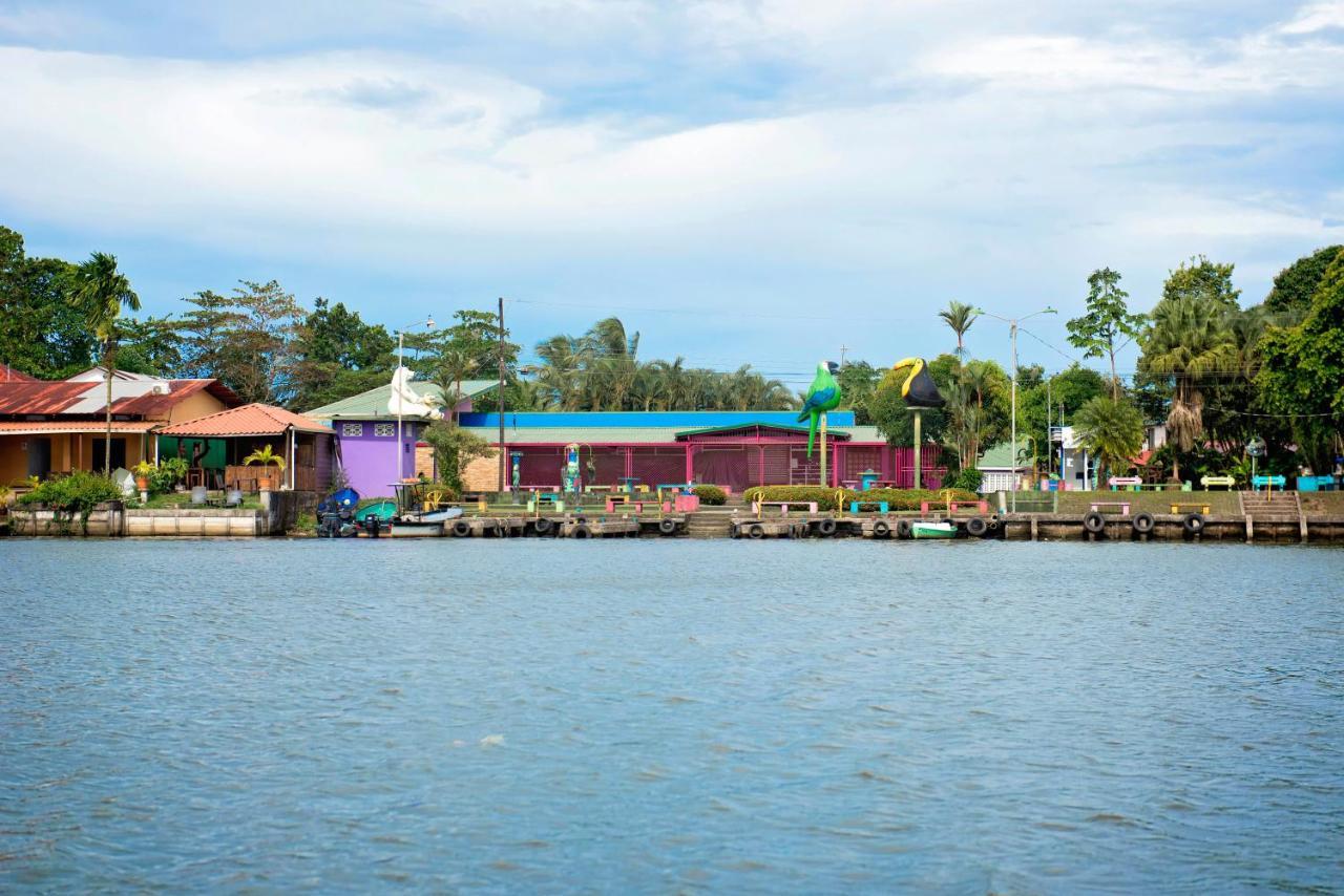 The Corner House Apartman Tortuguero Kültér fotó